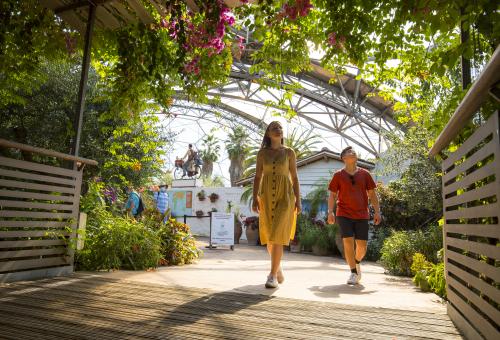 Couple looking in Mediterranean Biome